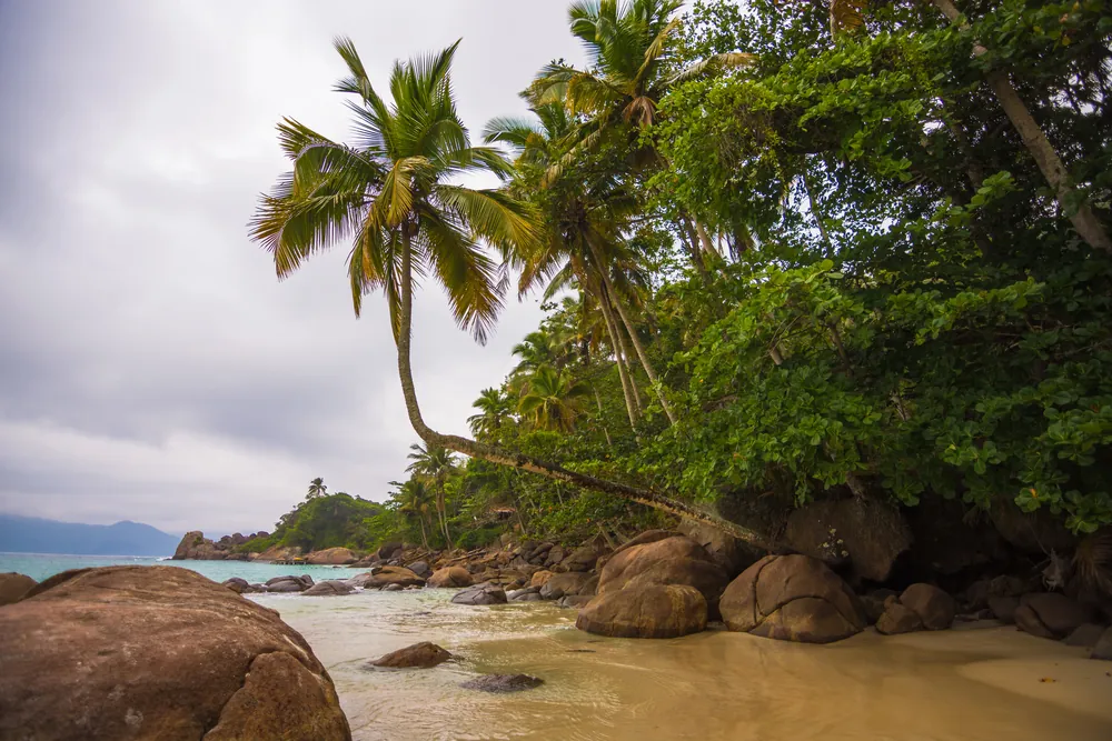 transfers dari Ilha Grande